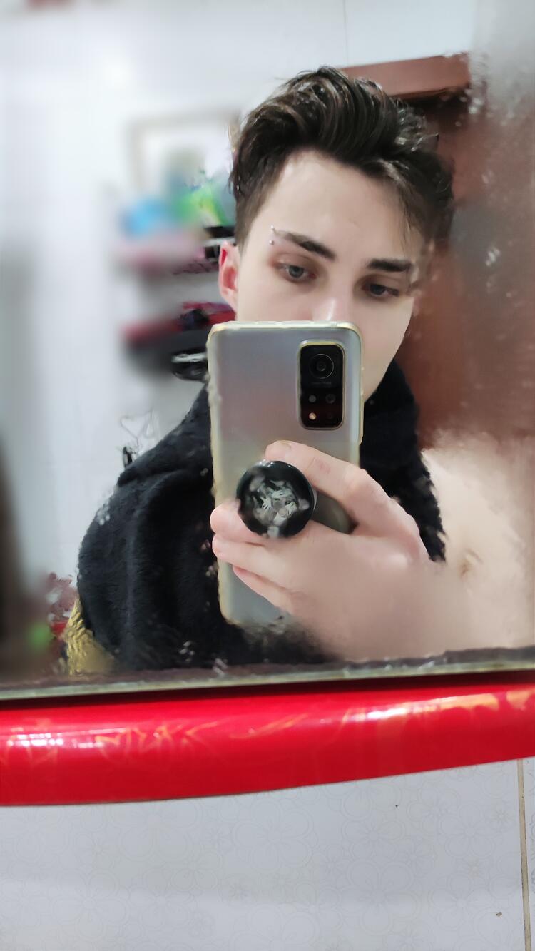 bivladys