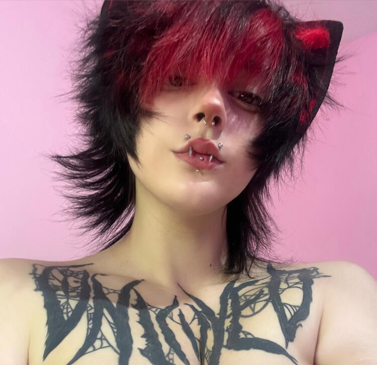 ｡*♡Kitty✧*。