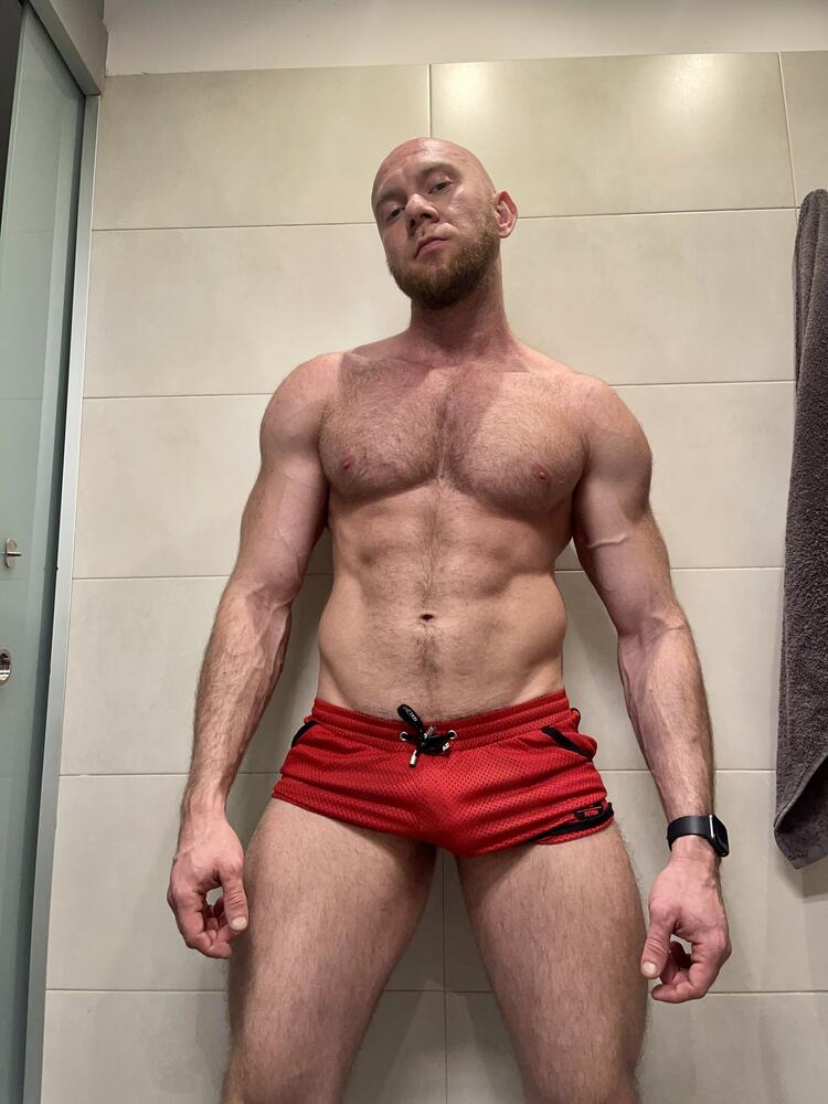 Max Torobull