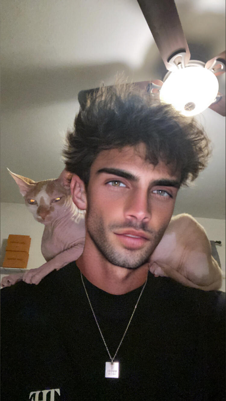 Dylan