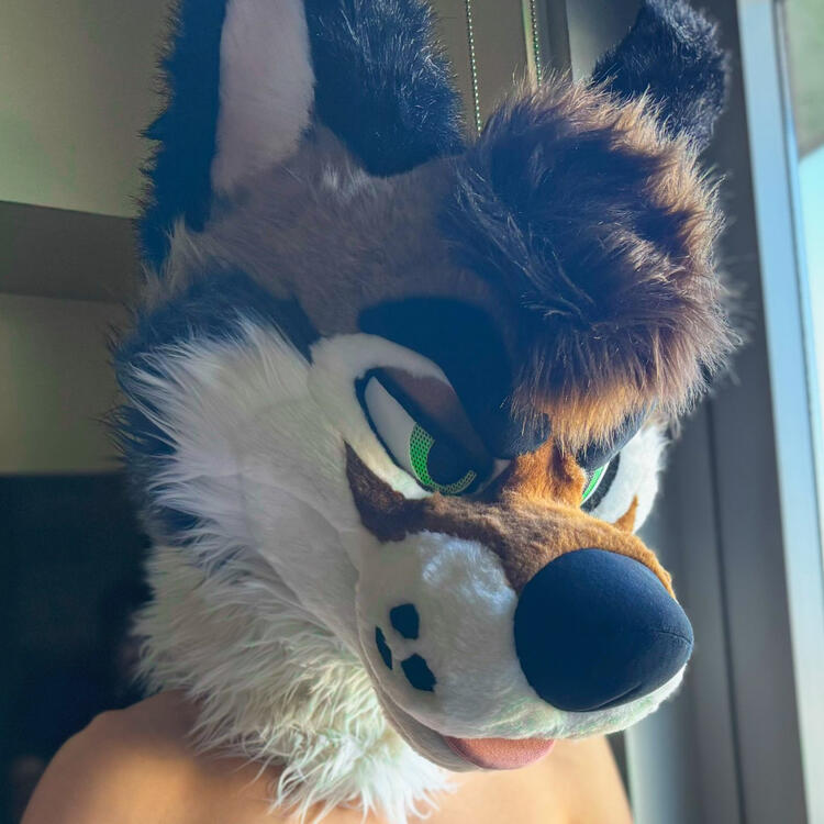 PalaceWolf