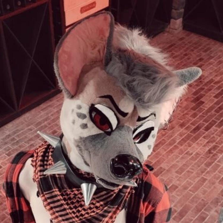 𖤐 Ryff Hyena 𖤐 🏳️‍⚧️