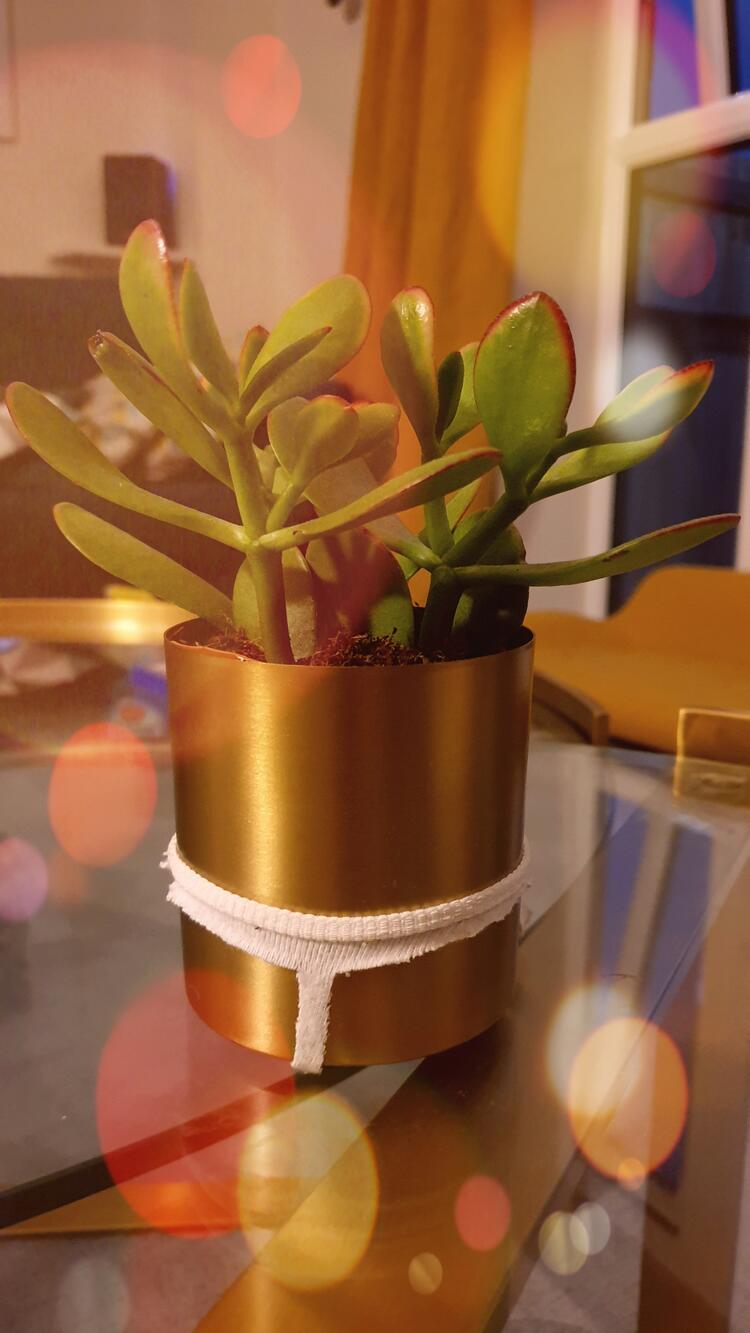 Sexy Inanimate Objects