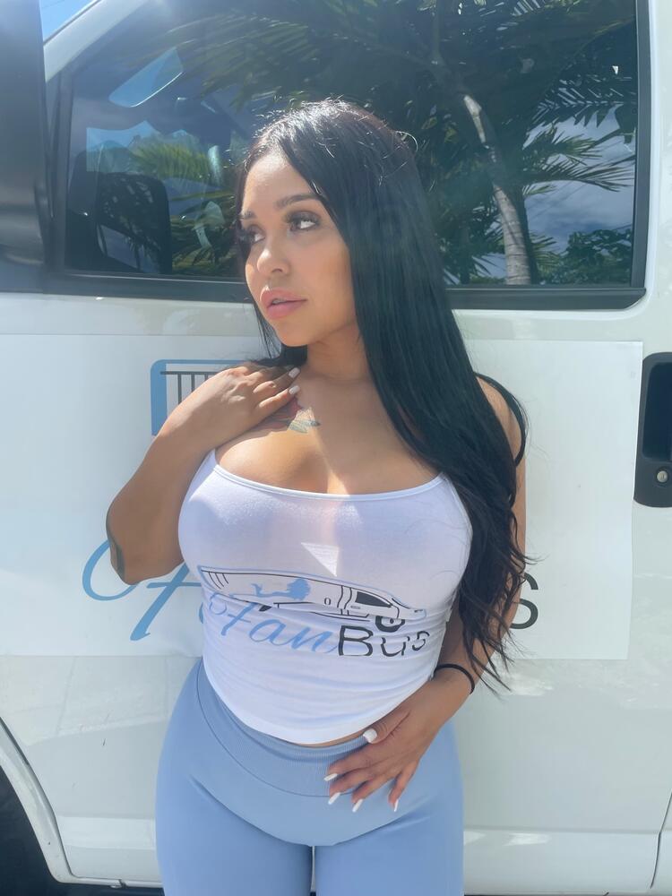 The Fan Van