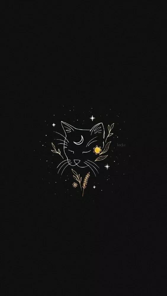 Venus Moon